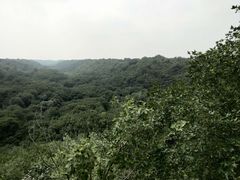 -大青沟风景区