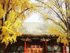 -恭王府博物馆