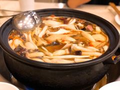 -蜀皇·菌汤鲜黄牛肉汤锅(宽窄巷子店)