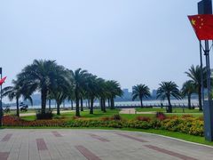 -野狸岛