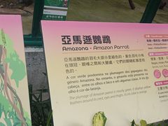 -石排湾郊野公园