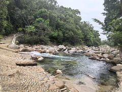 -海南热带雨林国家公园吊罗山景区