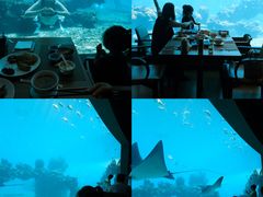 -涛·海底餐厅·美人鱼·自助餐·海底隧道(三亚海棠湾洲际度假酒店)