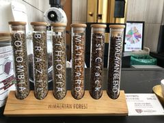 -喜马拉雅森HIMALAYAN FOREST