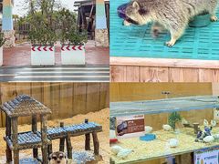 -珠海海泉湾度假区