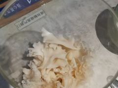 绣球菌-鲜潭蒸汽石锅鱼(五道口购物中心店)
