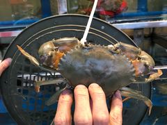 -宏佳丰味蟹馆(洛溪店)