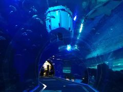 -成都浩海立方海洋公园