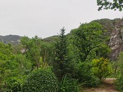 -幽岚山·童话森林