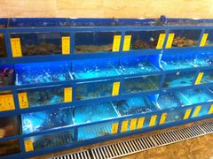水产区-金苑海鲜酒家(新港中路店)