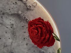 -FULL MOON满月咖啡