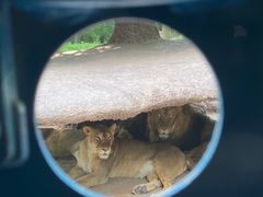 -北京野生动物园