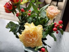 -梧桐花园餐厅(新城店)