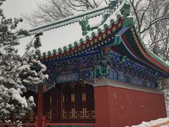 -颐和园