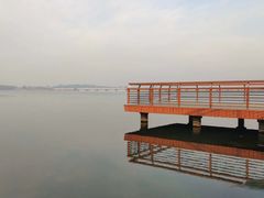 -丁香湖公园