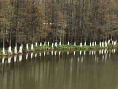 -嘉北郊野公园