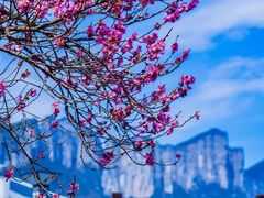 -恩施大峡谷