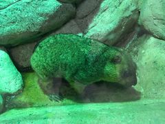 -福州罗源湾海洋世界旅游区