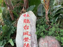 -广东惠东海龟国家级自然保护区