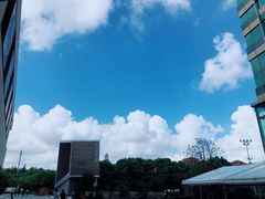 -上海中医药大学附属曙光医院(东部)