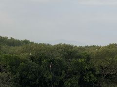 -盐洲岛