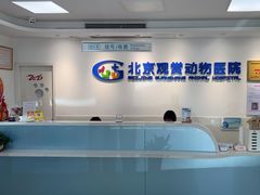 -北京观赏动物医院·24小时大型综合·猫专科·异宠专科