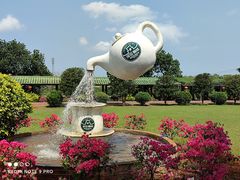 -侯臣咖啡文化村