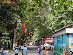 -老妈火锅粉(幸福路步行街店)