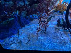 -上海海洋水族馆