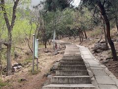 -北京十三陵国家森林公园蟒山景区