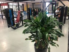 -迈动健身(酉阳店)