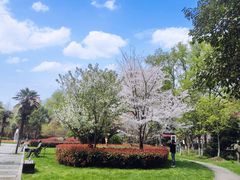 -南京特殊教育师范学院(燕子矶校区)