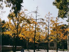 -上海吴淞炮台湾国家湿地公园