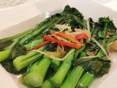 盐水菜心-凤凰轩·尾牙宴·生日宴(十里银滩店)