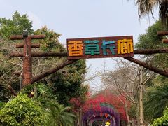 -广东花都香草世界旅游度假区