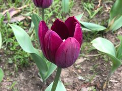 -长春公园(普阳街道)