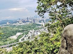 -梧桐山风景名胜区