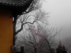 -九华山风景区月身宝殿