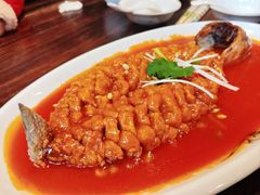 -陈麻婆豆腐(旗舰店)