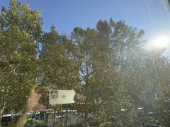 -环球·雅思托福·THiNKSAT留学语言培训学校(国贸校区)