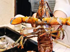 -第六季自助餐厅(北太平庄店)