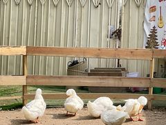 -HERRE·FARM 赫尔露营农场·团建聚会包场