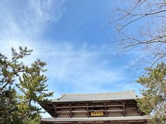 -奈良公园