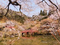 -醍醐寺
