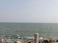 -天津妈祖文化园