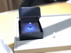 -Zbird钻石小鸟·钻戒婚戒定制高端珠宝私人定制中心