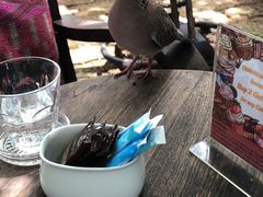 -Fern Forest Cafe