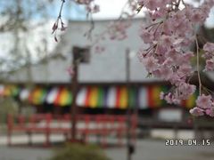 -醍醐寺
