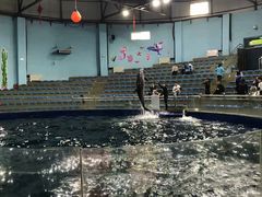 -石家庄市动物园