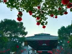 -余姚阳明温泉山庄